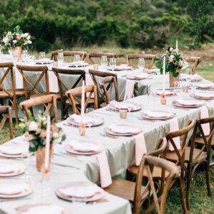 Serpentine Table
